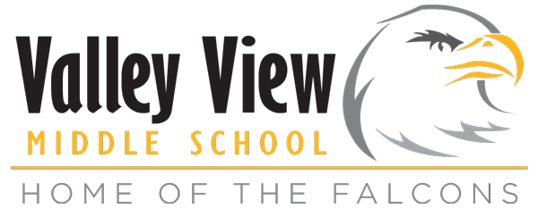 Logo of Valley View Middle School with bald eagle mascot