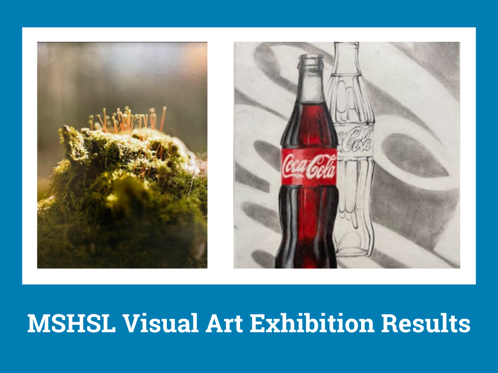 Teaser of Visual Art