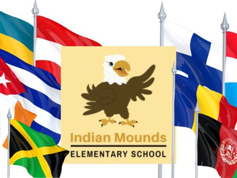 flags and school logo