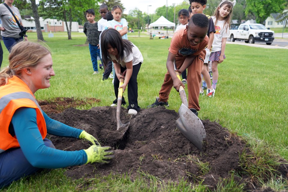 students dig a hole for a tree to be planted in