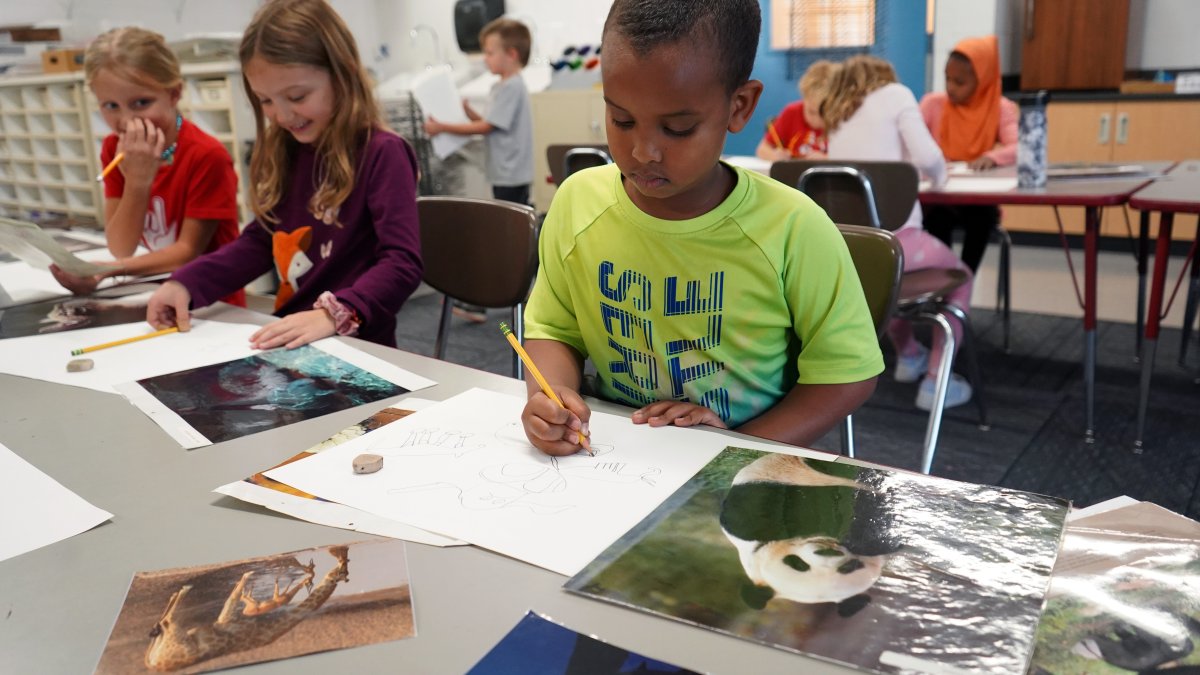 students drawing animal artwork