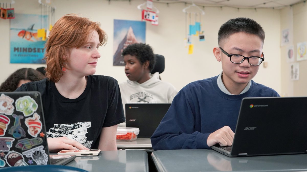 students working on laptops in class