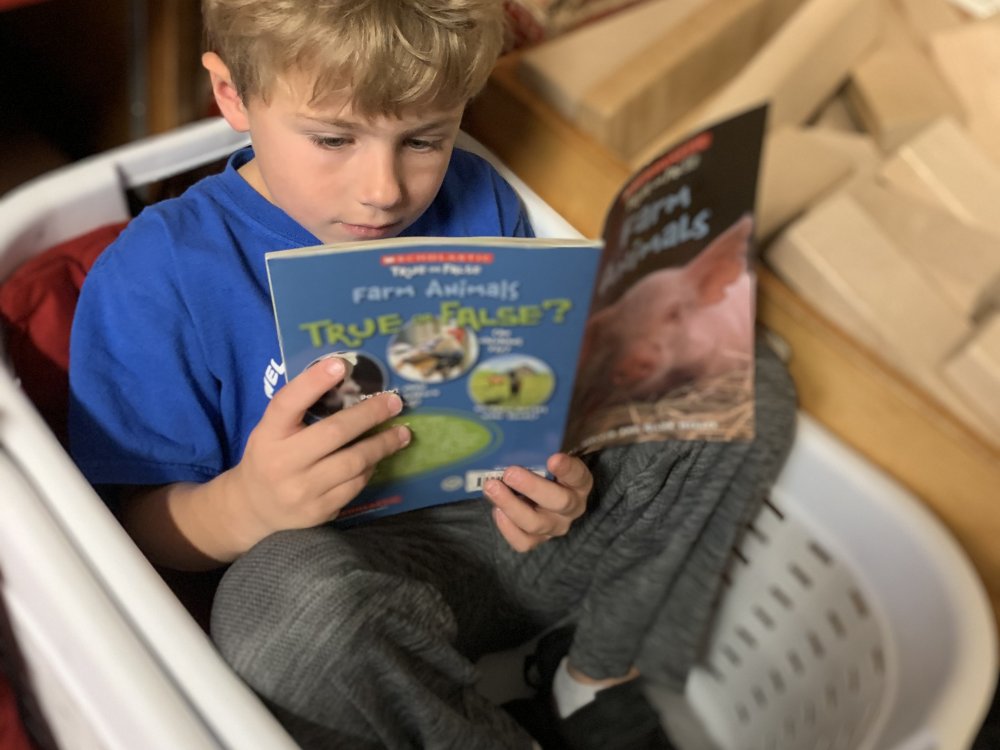 Student reading