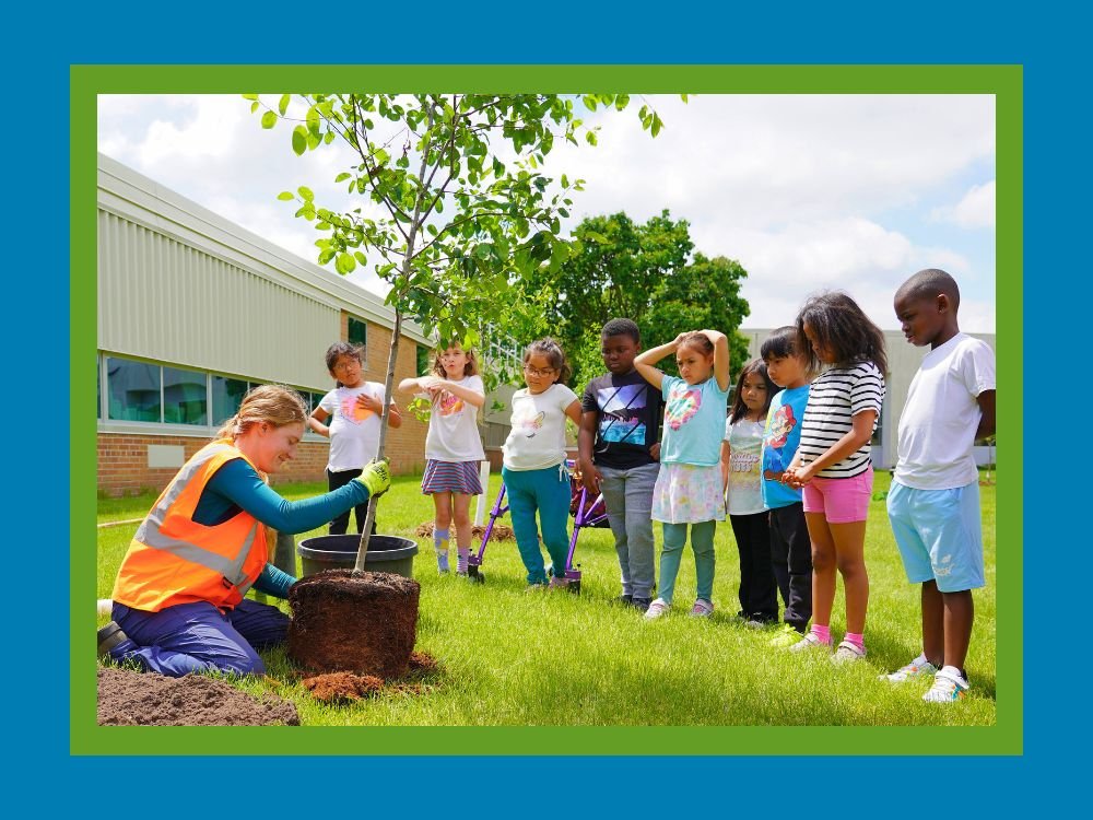 elementary students look at young tree that's about to be planted