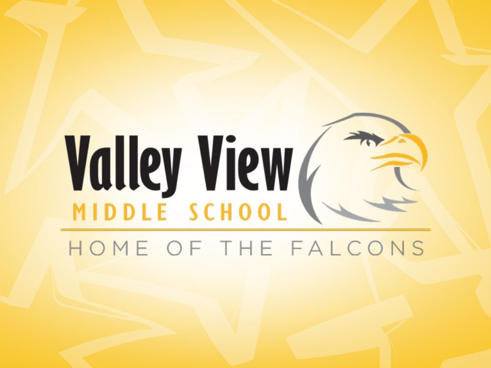 Valley View Middle School logo